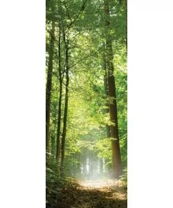 RIVESTIMENTO PER PORTA BOSCO, 83X210 CM